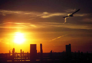 softly as in a morning sunrise